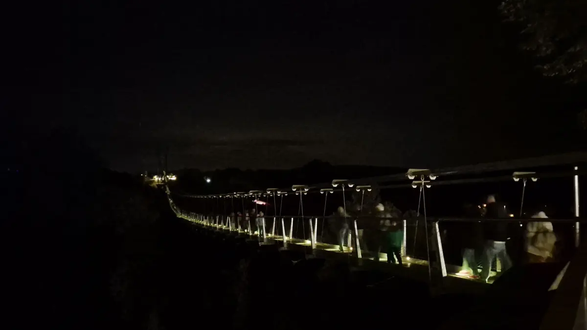 Hängebrücke Neckarline in Rottweil bei Nacht