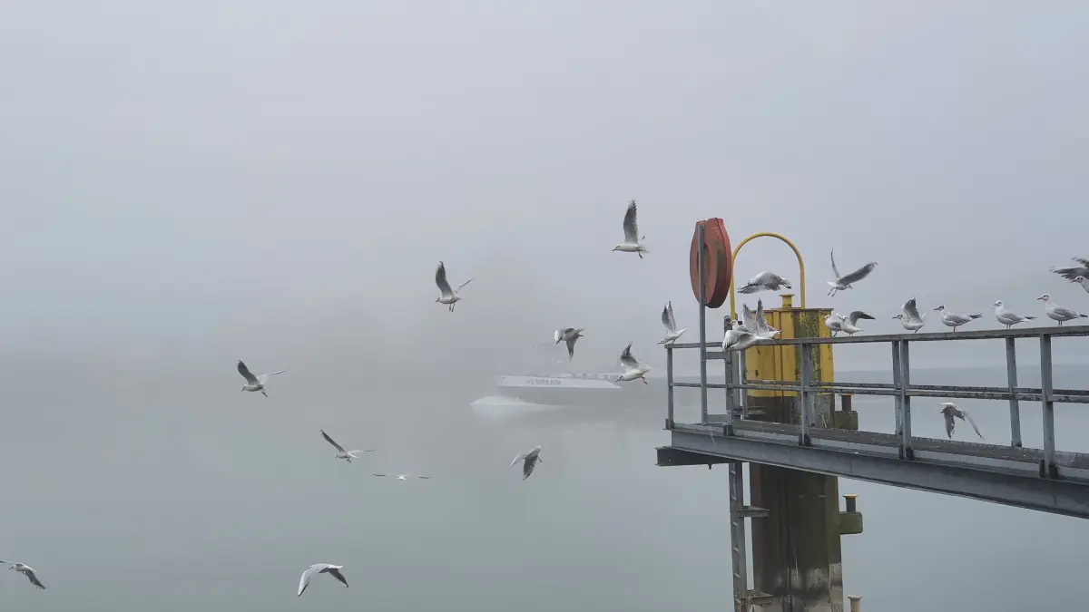 Der Rhein steht als verbindendes Element im Mittelpunkt des Projekts.