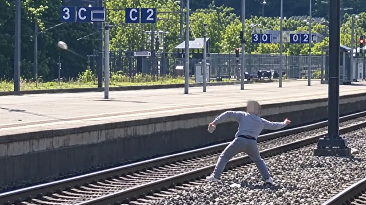 Steinewerfer Bahnhof Horb