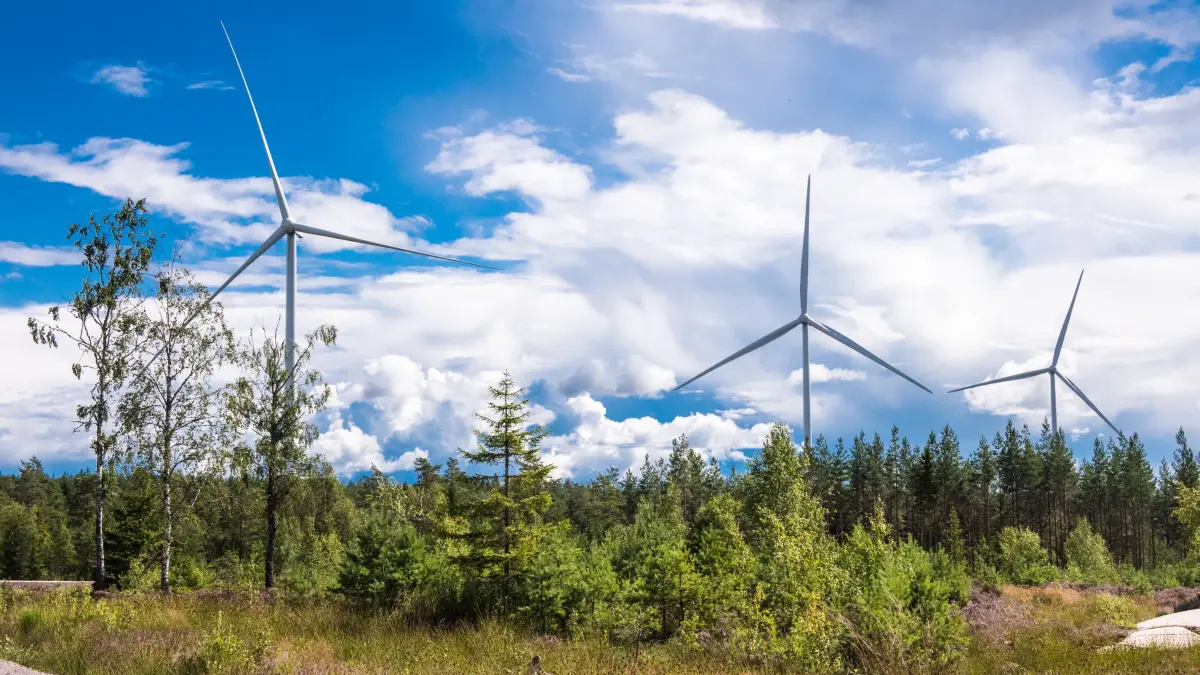 Einen Sachstandsbericht zum Windkraftprojekt in Gersbach gab es im Schopfheimer Gemeinderat. (Symbolbild)