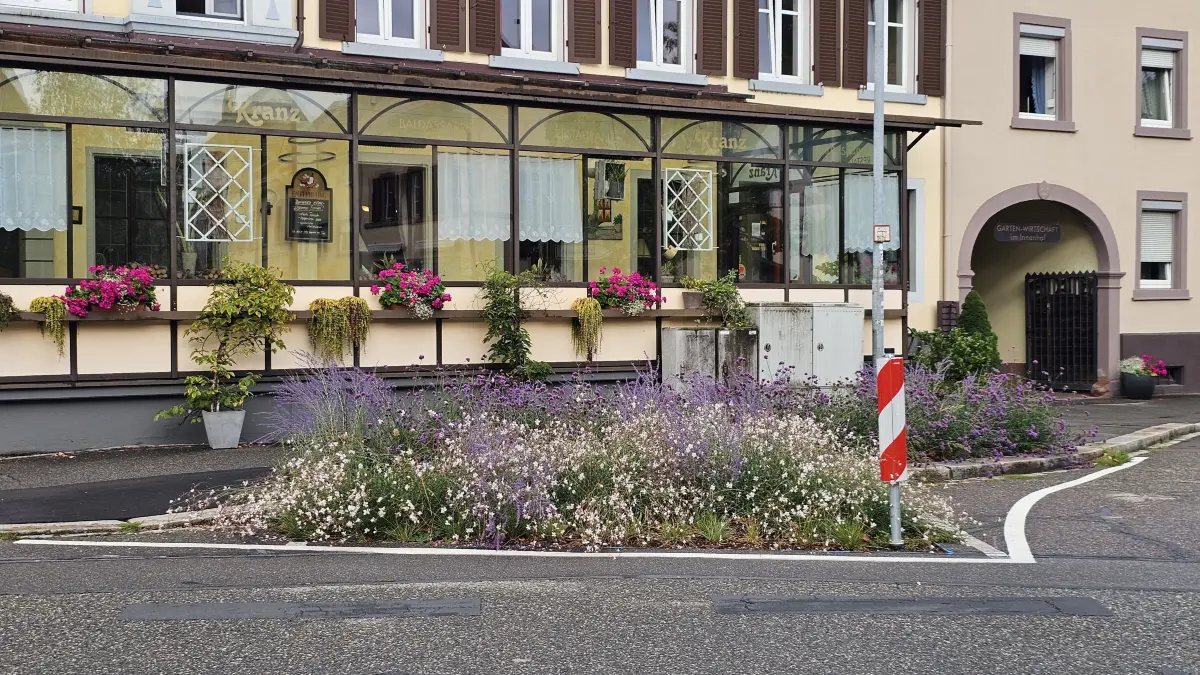 Eine entsiegelte Fläche an der Hauptstraße vor dem Gasthaus Kranz fand im Gemeinderat nicht nur Zustimmung.