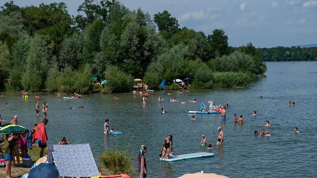 Am Kleinen Opfinger See in Freiburg darf wieder gebadet werden – das Gesundheitsamt rät dennoch davon ab.
