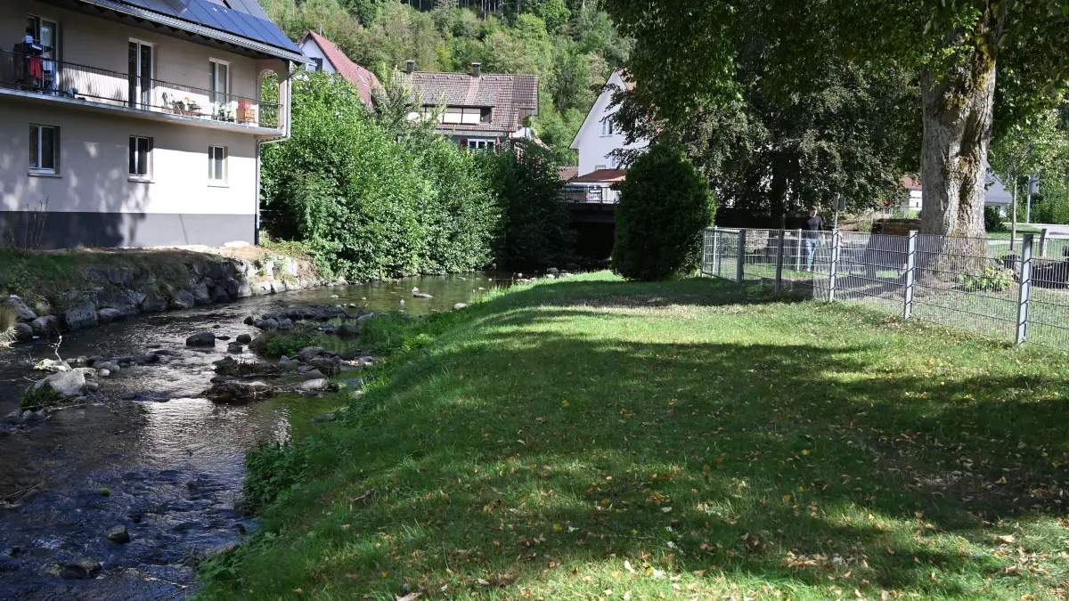 Das Ufer der Kleine Kinzig soll in diesem Bereich des Freizeitgeländes Heilig Garten naturnah mit versetzten Sitzstufen terrassenförmig umgestaltet werden