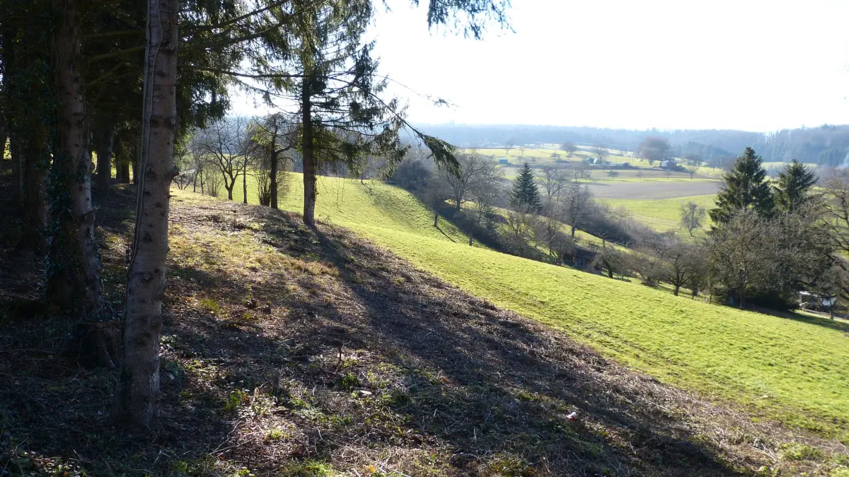 Wo jetzt noch Grünland ist, sollen bald mehr als 250 Wohneinheiten entstehen. Unsere Aufnahme zeigt den Blick vom Keltenweg aus auf das Neubaugebiet „Bühl III“ in Brombach.