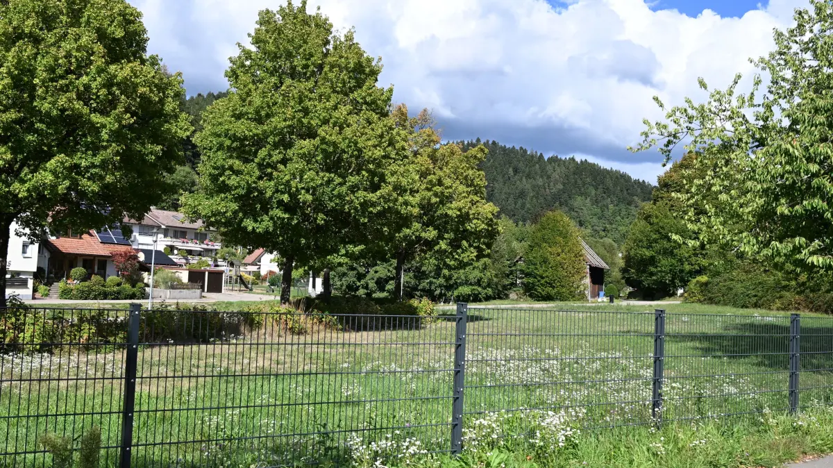 Auf diesem Grundstück in Privateigentum plant ein Investor ein dreigeschossiges Mehrfamilienhaus mit zehn Wohneinheiten.