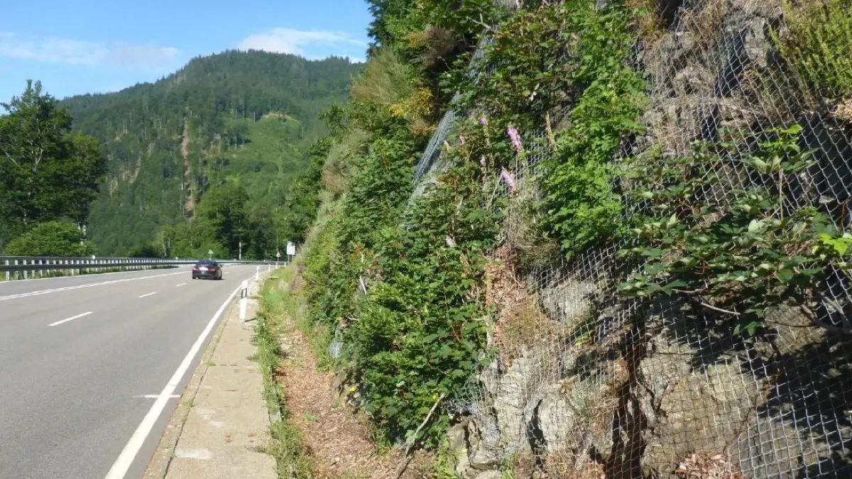 Immer wieder fanden Felssicherungsarbeiten am Feldberg statt und sorgten für Straßensperrungen. Bald ist wieder freie Fahrt.