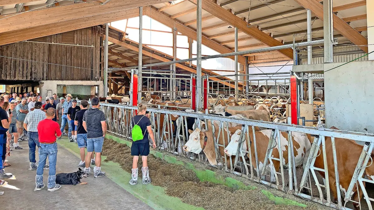 Gut besucht war die Kreislehrfahrt des Landwirtschaftsamts des Landratsamtes Schwarzwald-Baar-Kreis und des Vereins für Fortbildung in der Landwirtschaft. Drei Höfe mit drei unterschiedlichen Konzepten wurden besichtigt. Hier: Auf dem Futtertisch des neuen Milchviehstalls auf dem Betrieb von Sophia Flaig und Erwin Linhard in Mönchweiler.
