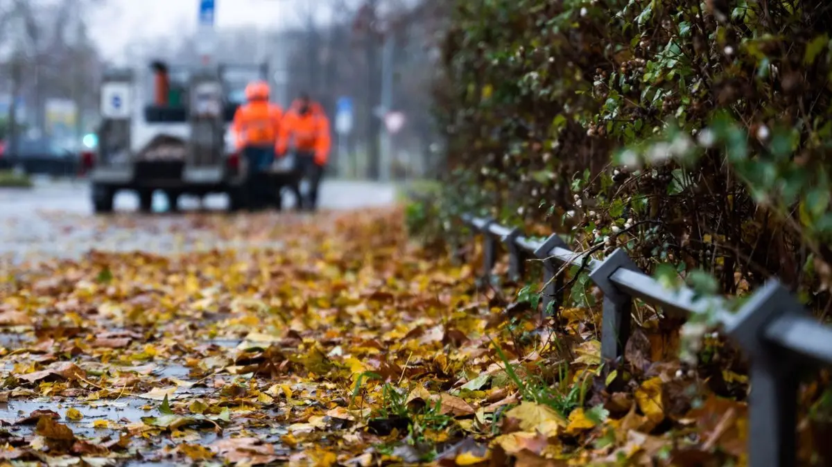 Herbstliches Laub liegt auf dem verregneten Bürgersteig, während im Hintergrund zwei Arbeiter ihre Schubkarre beladen.