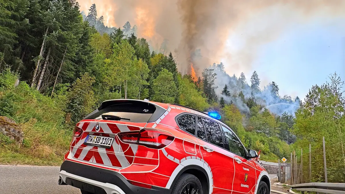 Der verheerende Waldbrand kostet die Stadt hohe Summen.