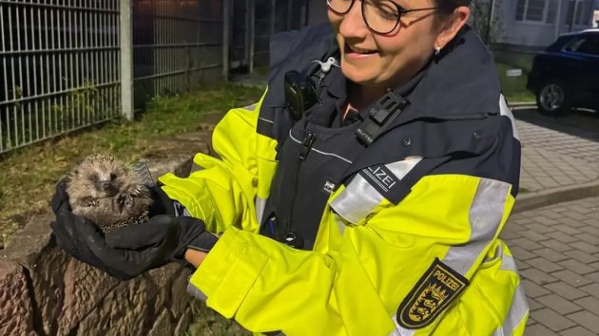 Mit Handschuhen nahmen die Polizisten aus Offenburg den Igel in Gewahrsam.