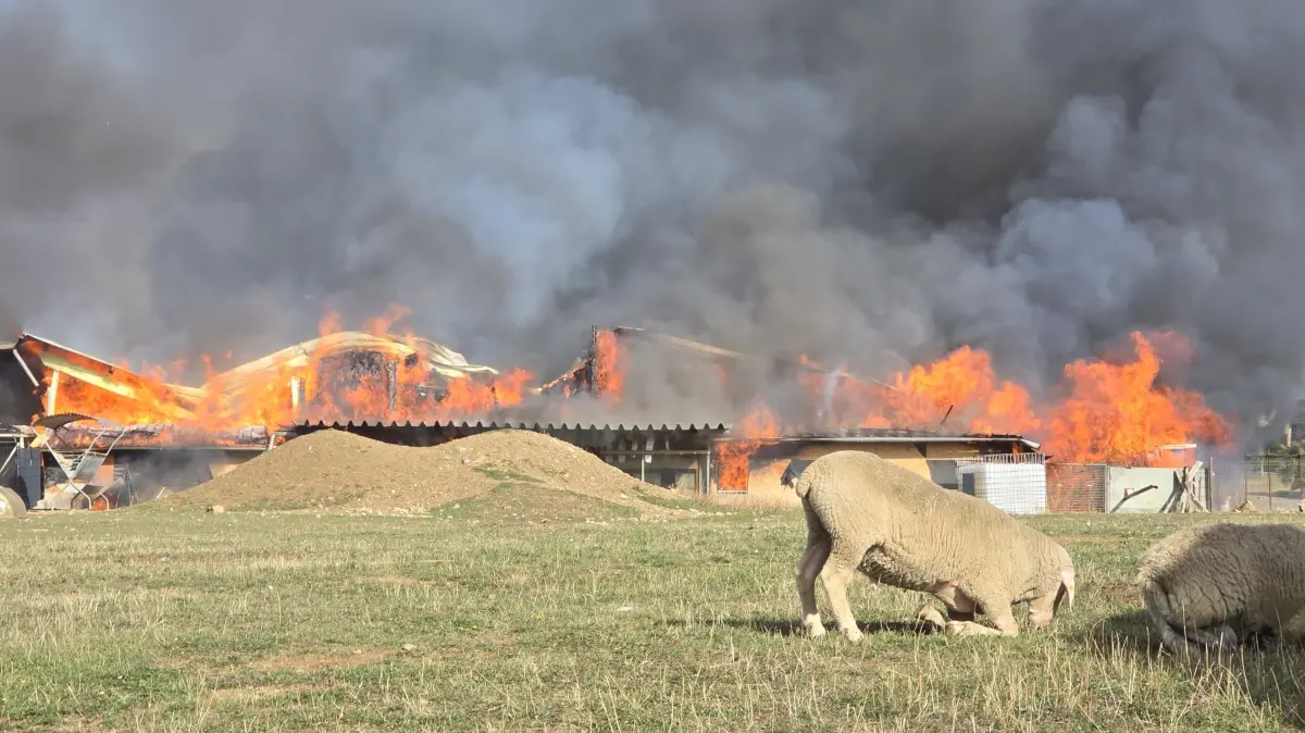 Auf einem Aussiedlerhof bei Grosselfingen ist ein Feuer ausgebrochen.