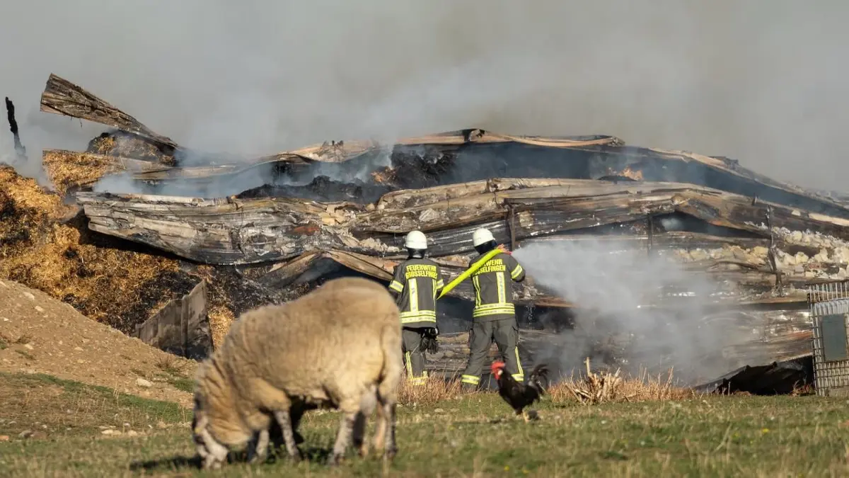 Eingestürztes Landwirtschaftsgebäude in Grosselfingen: Die Arbeiten laufen wohl bis in die Nacht.