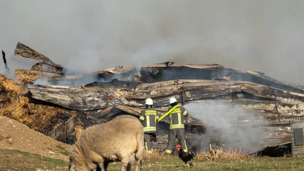 Eingestürztes Landwirtschaftsgebäude in Grosselfingen: Die Arbeiten laufen wohl bis in die Nacht.