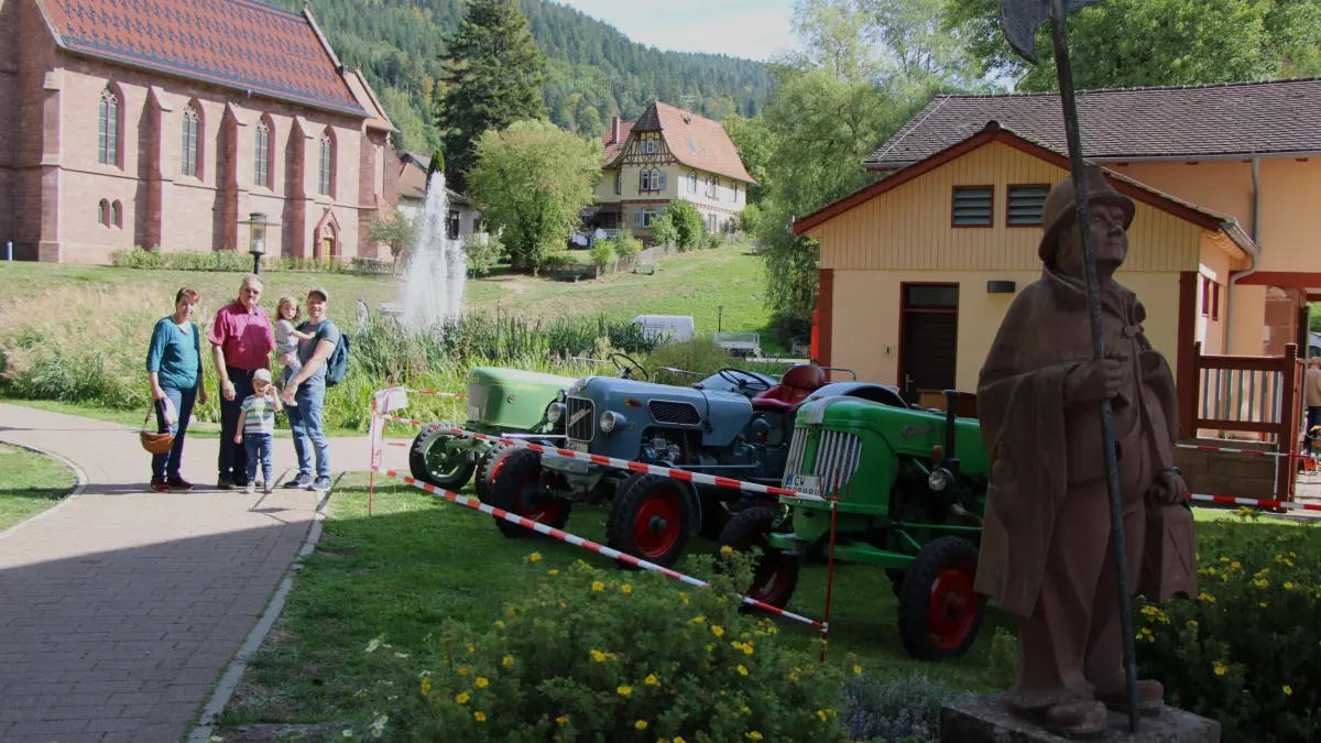 Prächtig sind die historischen Traktoren herausgeputzt