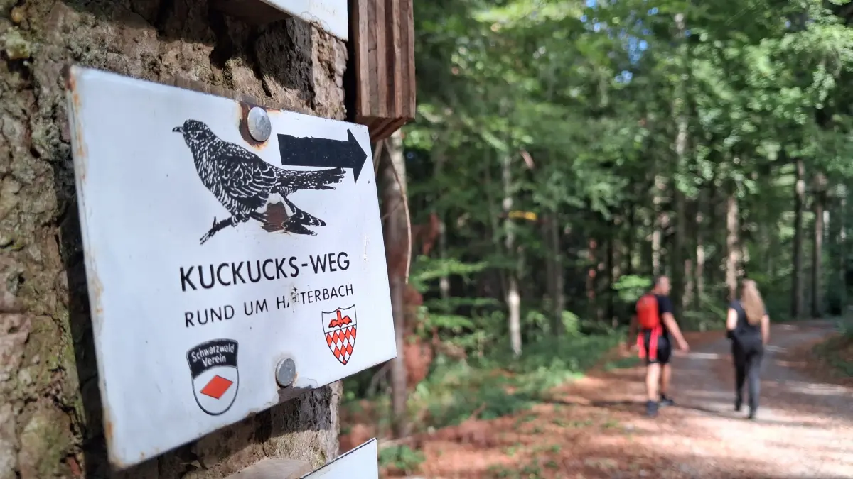 Wandertag zu 30 Jahre Kuckucksweg