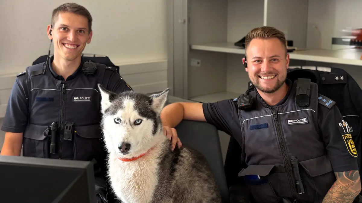 Die Husky-Hündin wurde im Polizeiposten Kandern umsorgt.