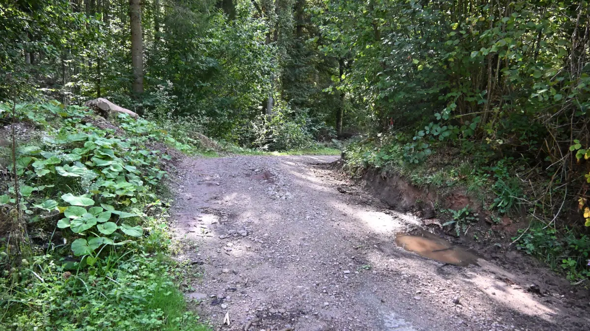 Bis die gesperrte Gemeindeverbindungsstraße Winterhalde-Waldenbrunn wieder freigegeben wird, dauert es noch eine ganze Weile. Ignorierenden droht künftig ein Knöllchen.