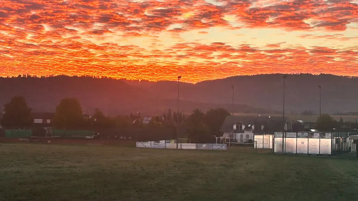 Neue Padel-Courts beim TC Frittlingen erfolgreich eröffnet.