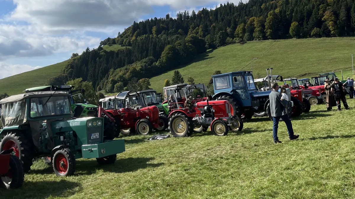 Am Sonntag lockt das Gersbacher Weidefest unter anderem auch mit einer Fahrzeug- und Maschinenschau.