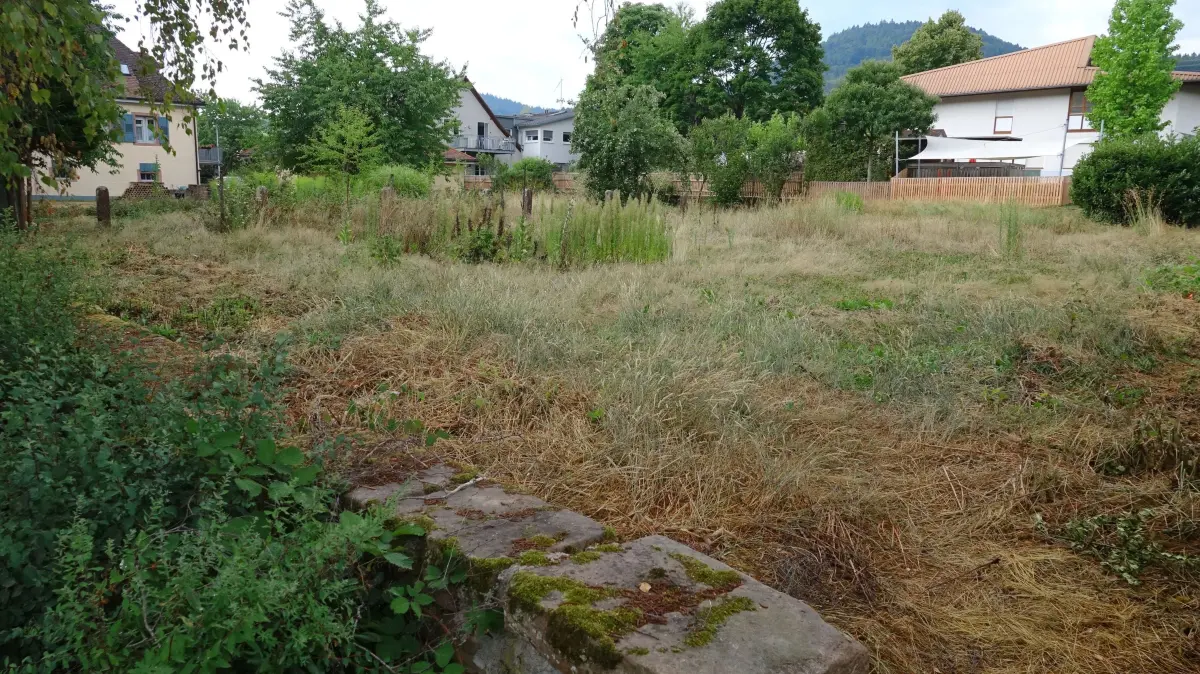 Auf dieser Wiese soll die neue Kita entstehen. Rechts im Hintergrund ist das bestehende Gebäude zu sehen, im Vordergrund die denkmalgeschützte Mauer.