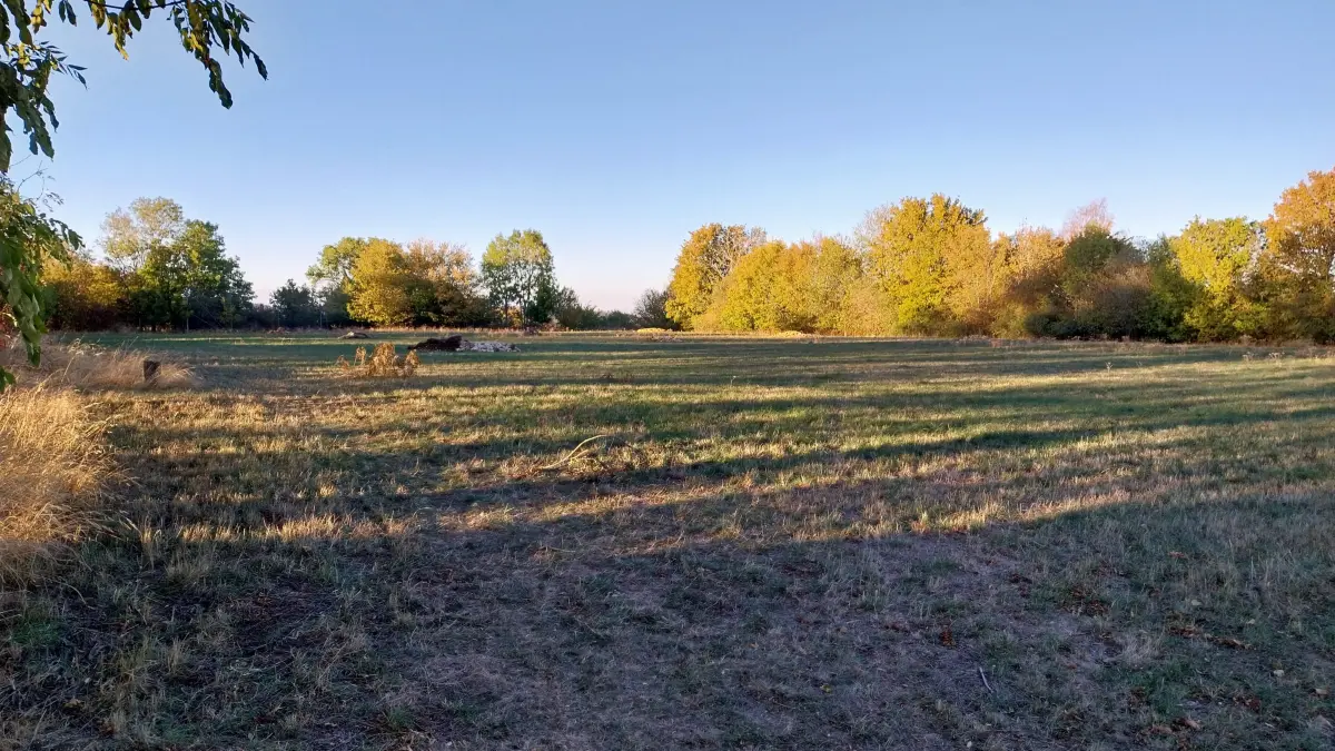 Auf dem alten Sportplatz an der Hermannsdorfer Straße soll die Heizzentrale für das Bitzer Nahwärmenetz entstehen.