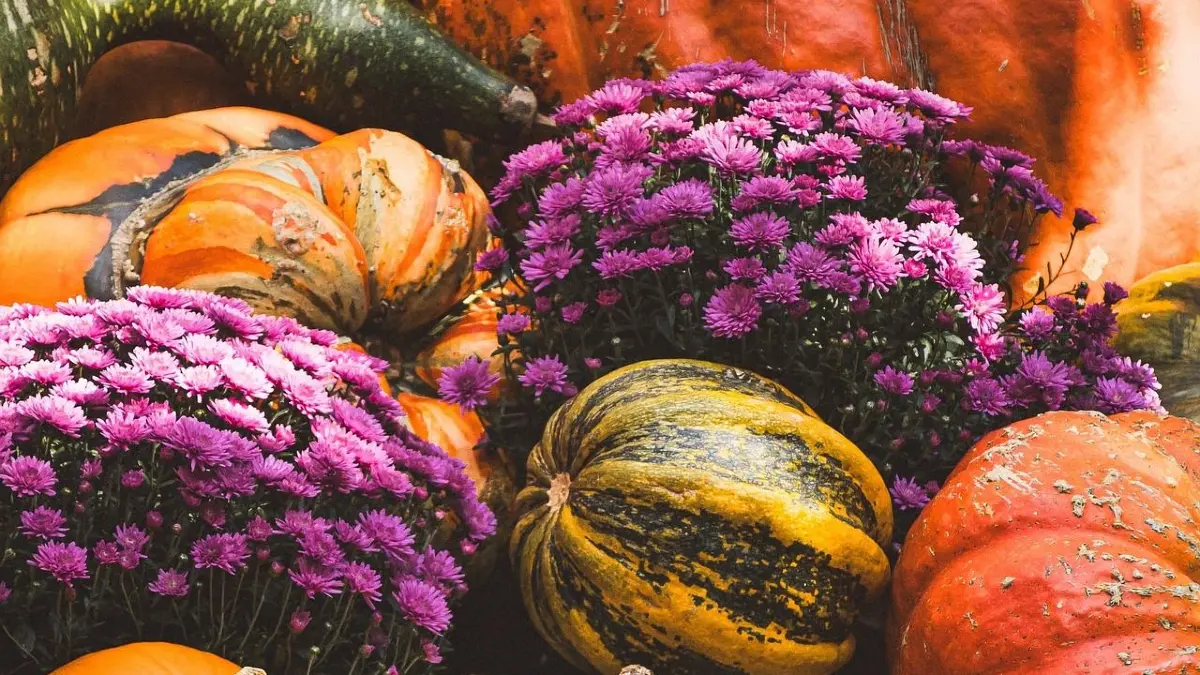 Der Bad Bellinger Herbstmarkt lädt zum Bummeln und Verweilen ein.