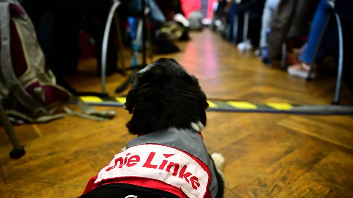 Landesparteitag der Berliner Linken: 25.09.2026, Berlin: Ein Hund trägt ein Halstuch mit der Aufschrift "Die Linke" während eines Landesparteitags der Berliner Linken. Auf dem Parteitag soll darüber abgestimmt werden, ob die Linke die Grünen und die SPD nach der Wahl zum Berliner Abgeordnetenhaus zu Sondierungsgesprächen einlädt. Foto: Sebastian Gollnow/dpa +++ dpa-Bildfunk +++
