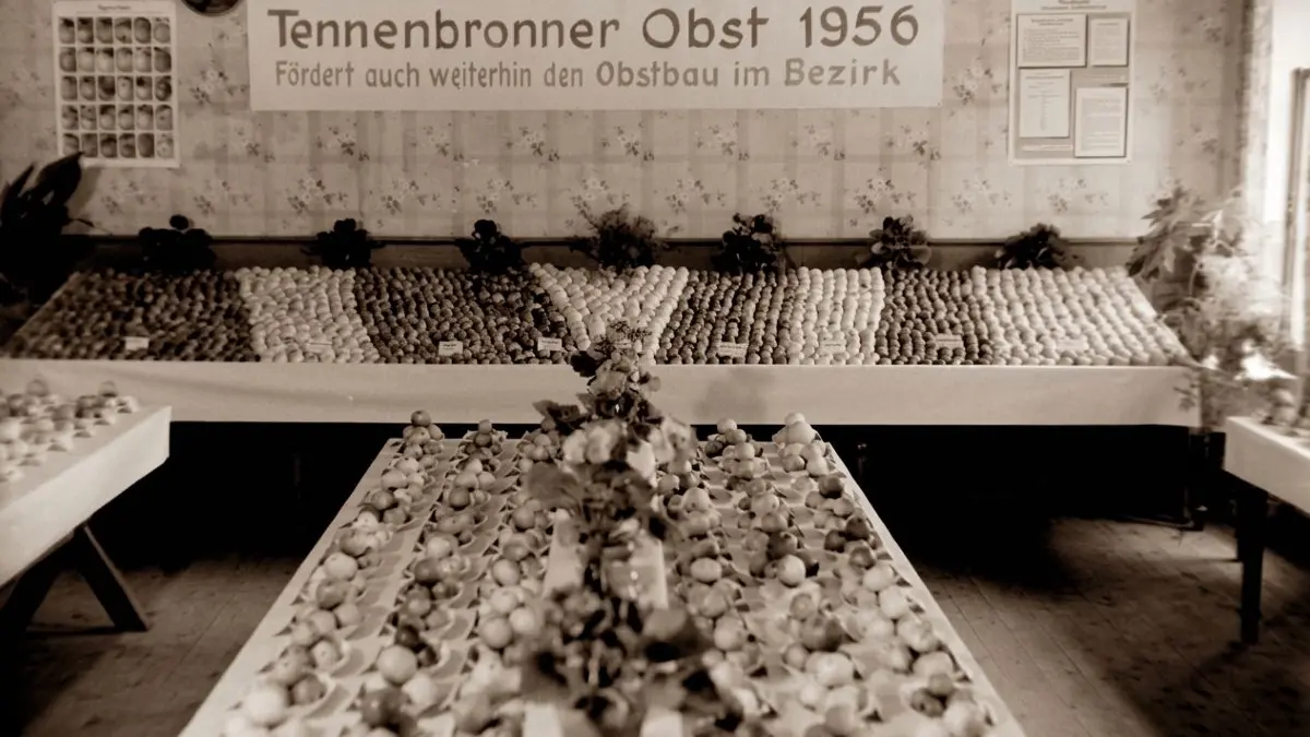 Nur wenige erinnern sich daran, dass es in Tennenbronn einen Obst- und Gartenbauverein gab, der auch Ausstellungen organisierte