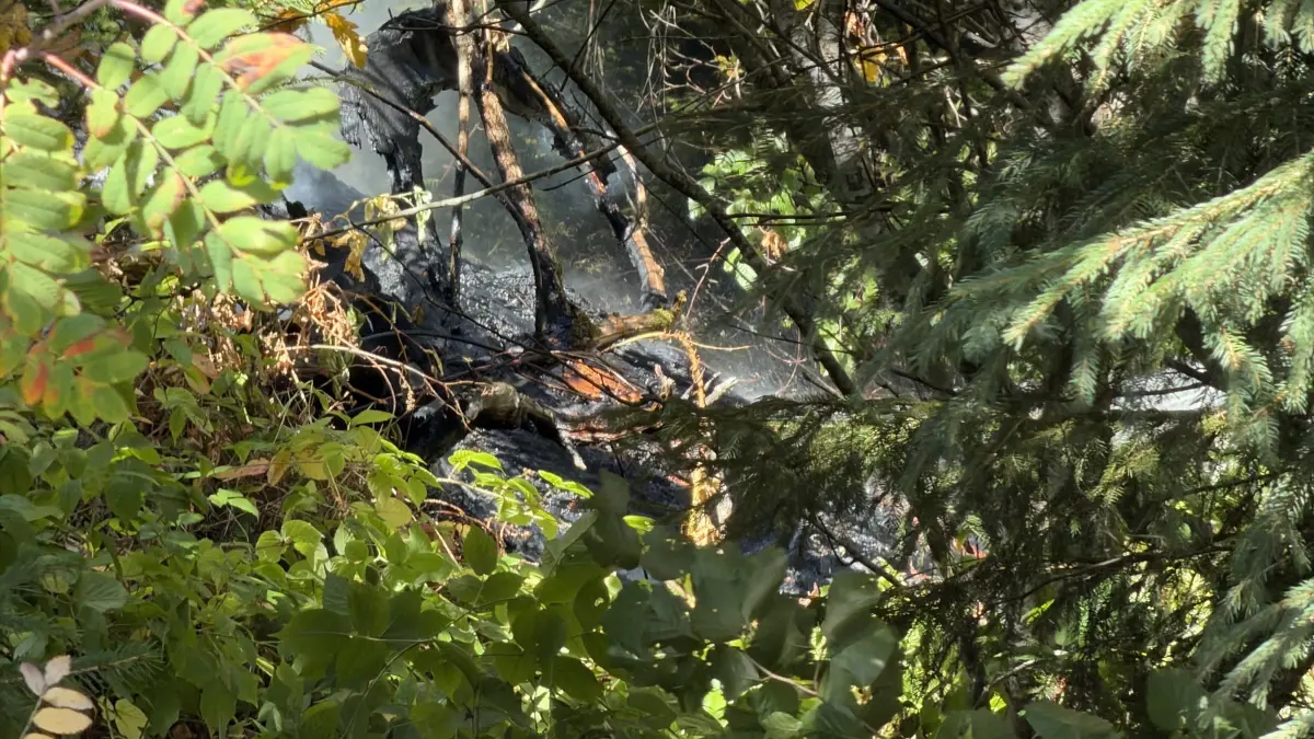 Mehrere Brandherde verteilten sich auf einer Fläche von 12.000 Quadratmeter.