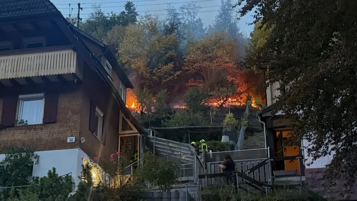 Vegetationsbrand in Oberndorf.