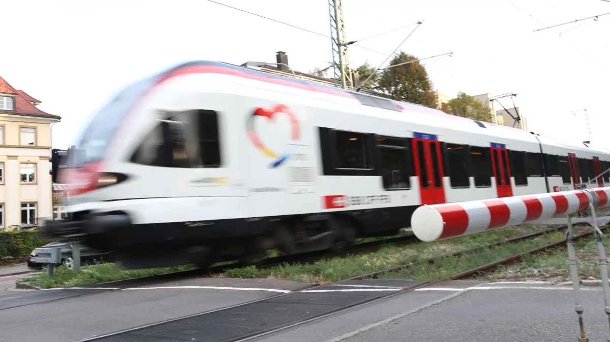 der Wiesental- und Gartenbahn