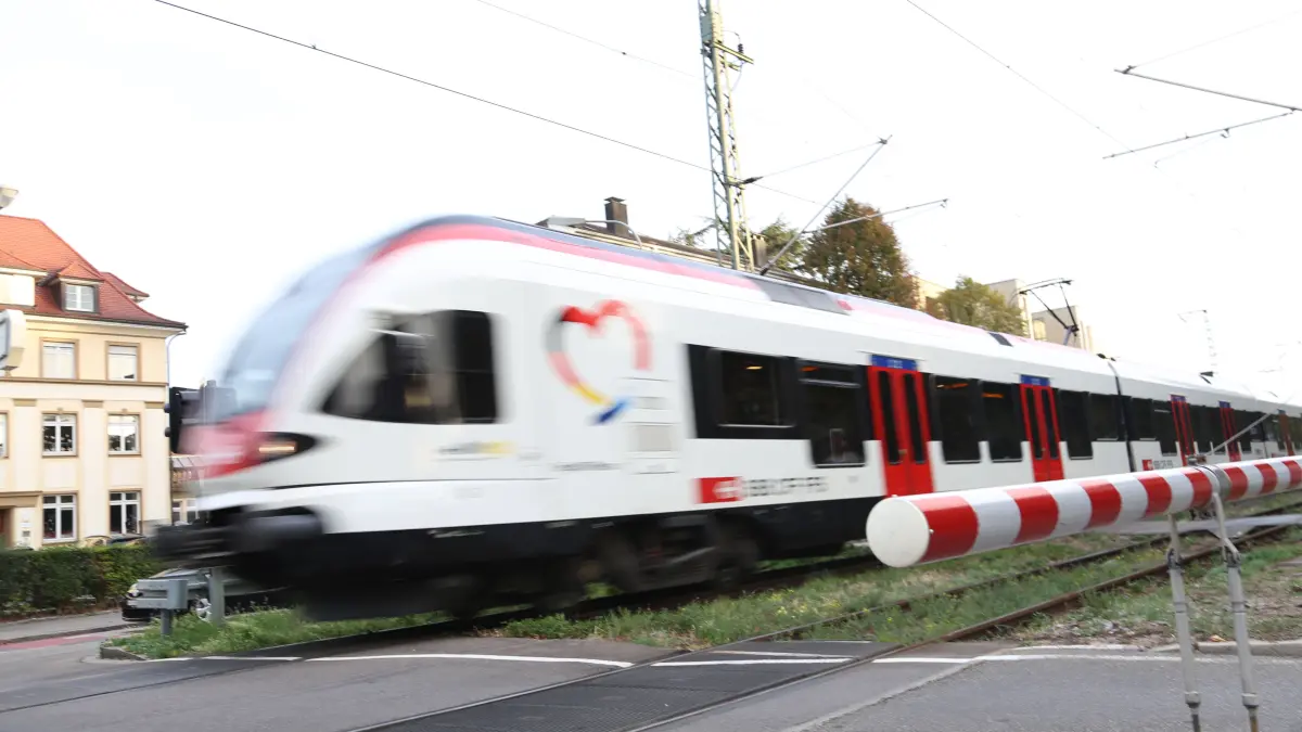 der Wiesental- und Gartenbahn