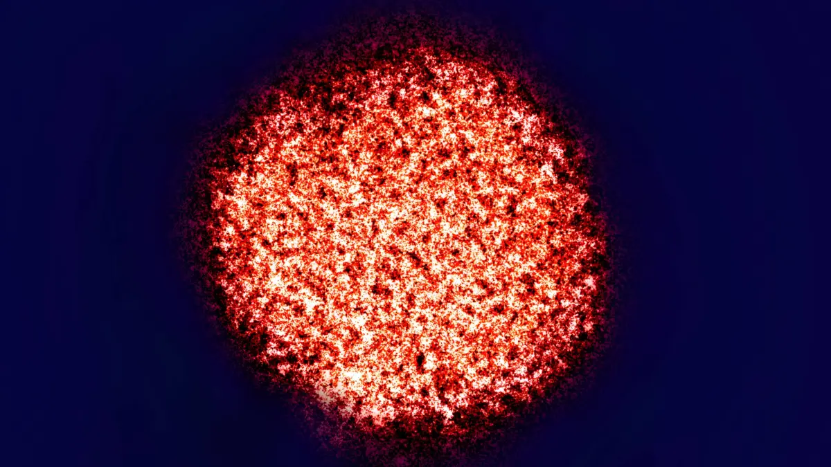 Hepatitis B Virus