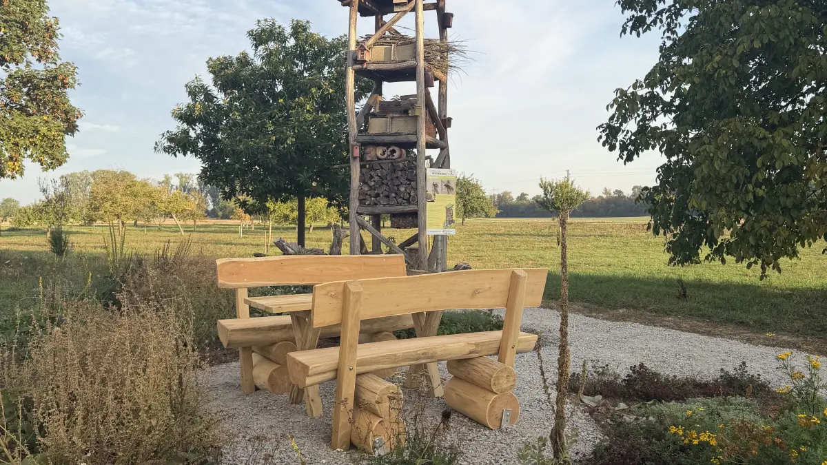 Der Platz rumd um den Lebensturm in Allmannsweier ist fertig gestaltet.