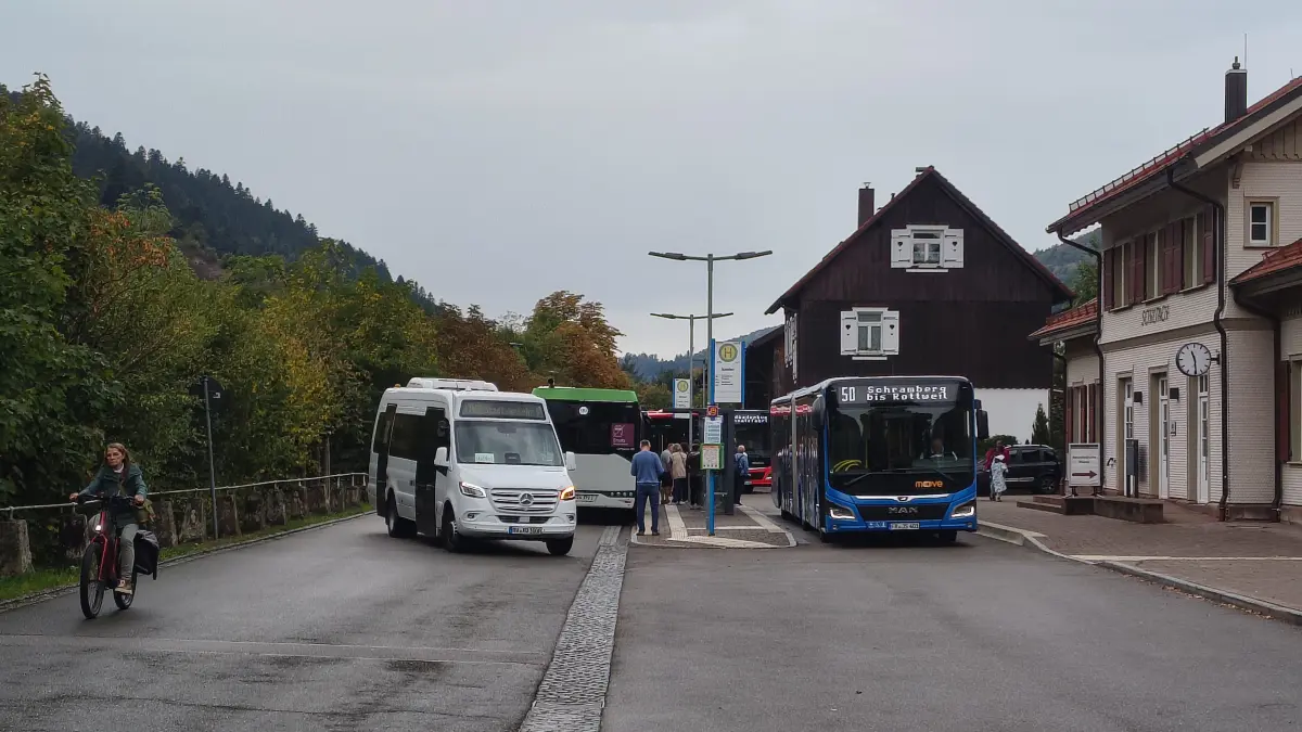 Schenkenzell Busse