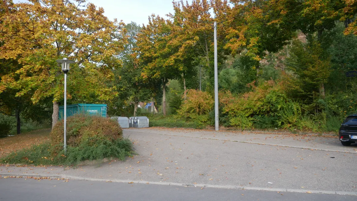 Schenkenzell Elektrizität