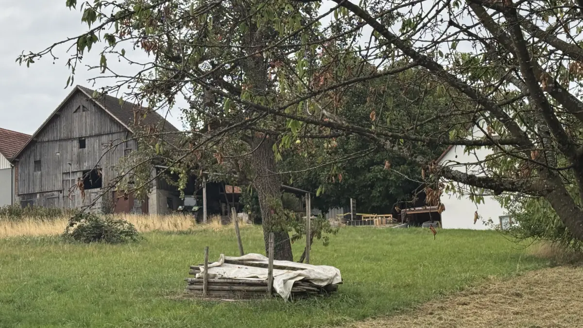 Obstwiese trifft Randbebauung in Ötlingen: Die Bäume im Vordergrund bleiben laut stehen, im Hintergrund soll einer Reihe neuer Häuser entstehen.