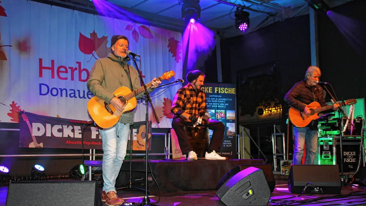 Die Band „Dicke Fische“ beim Herbstfest 2025 in Donaueschingen. In diesem Jahr findet das Fest am Samstag, 3. Oktober, statt. (Archivfoto)