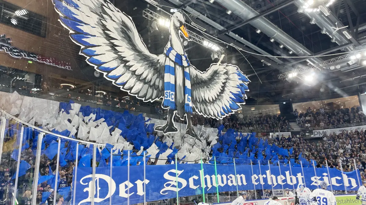 Wild Wings Schwan