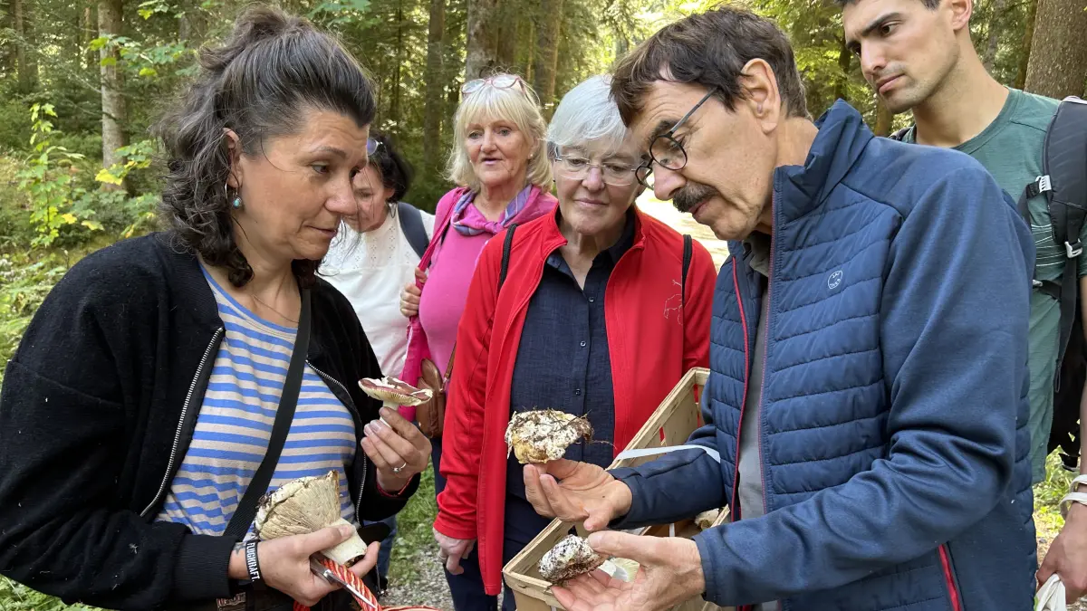 Kritischer Vergleich ob der Pilz essbar ist. Thomas Herrmann (rechts)