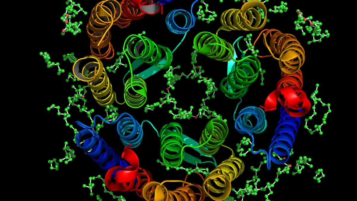 Biologischer Aufbau von Bacteriorhodopsin