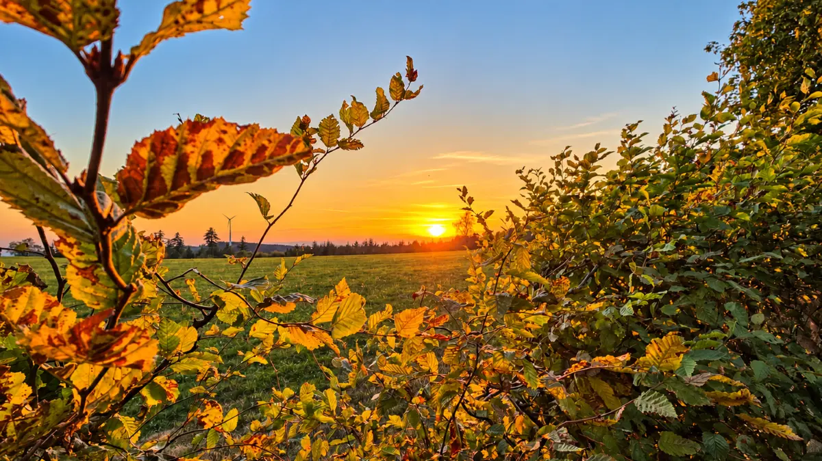 Der September bescherte der Ortenau - wie hier am 27. September bei Ettenheimmünster - reichlich Sonne.
