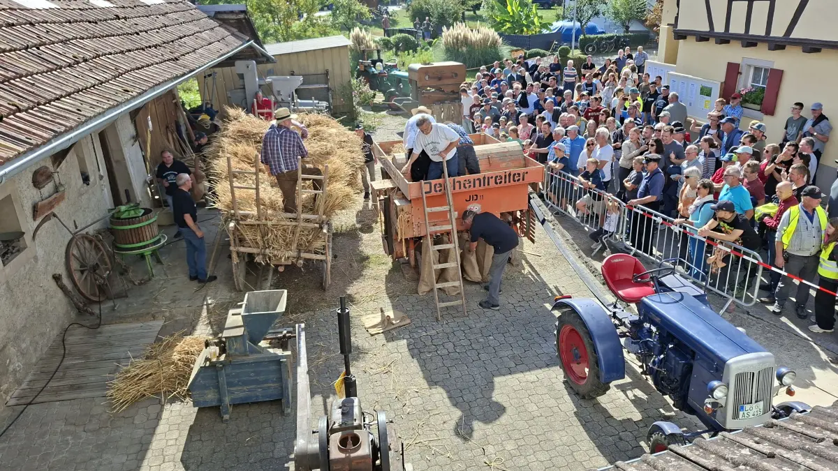 Mit einer alten Dreschmaschine wurde das Dreschen von Getreide beim Bulldogtreffen vorgeführt.