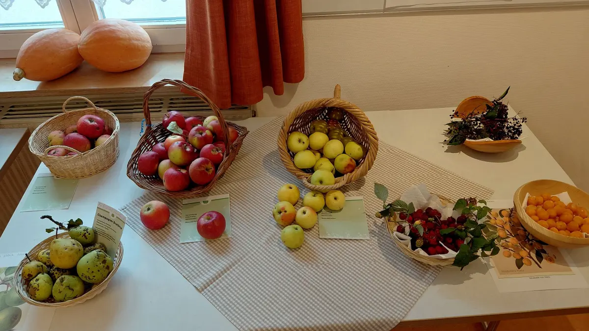 In zwei Räumen wurden frisch geerntete Obstsorten ausgestellt.