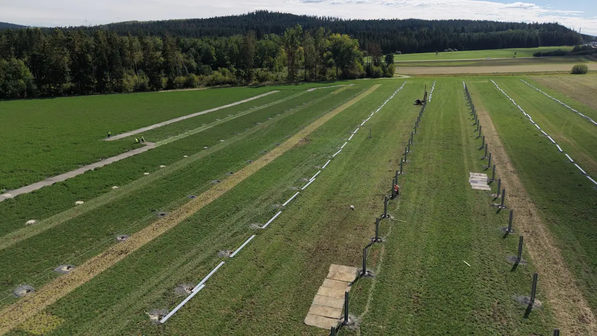 Nach dem Spatenstich am 11. September sind die Rammarbeiten für den Solarpark Tuningen-Weigheim in vollem Gange. Die Inbetriebnahme der ersten Agri‑PV‑Anlage in der Region soll Ende 2026 erfolgen.