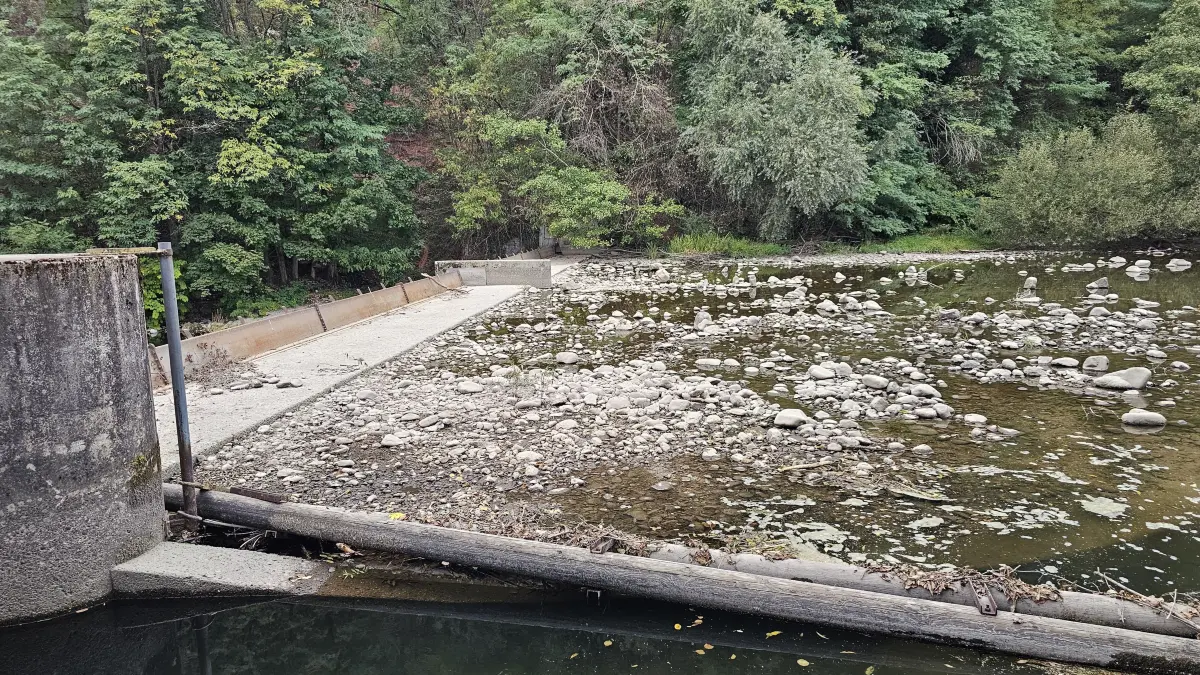 Ein Bild mit erschreckend niedrigem Wasserstand der Wiese am Hammerwehr in Schopfheim. Lediglich 300 Liter Durchfluss pro Sekunde markieren den historisch absolut niedrigsten Pegel. Die Schwelle für eine Wasserabgabe ins Wuhr wurde einmal bei 1000 Litern pro Sekunde festgelegt.