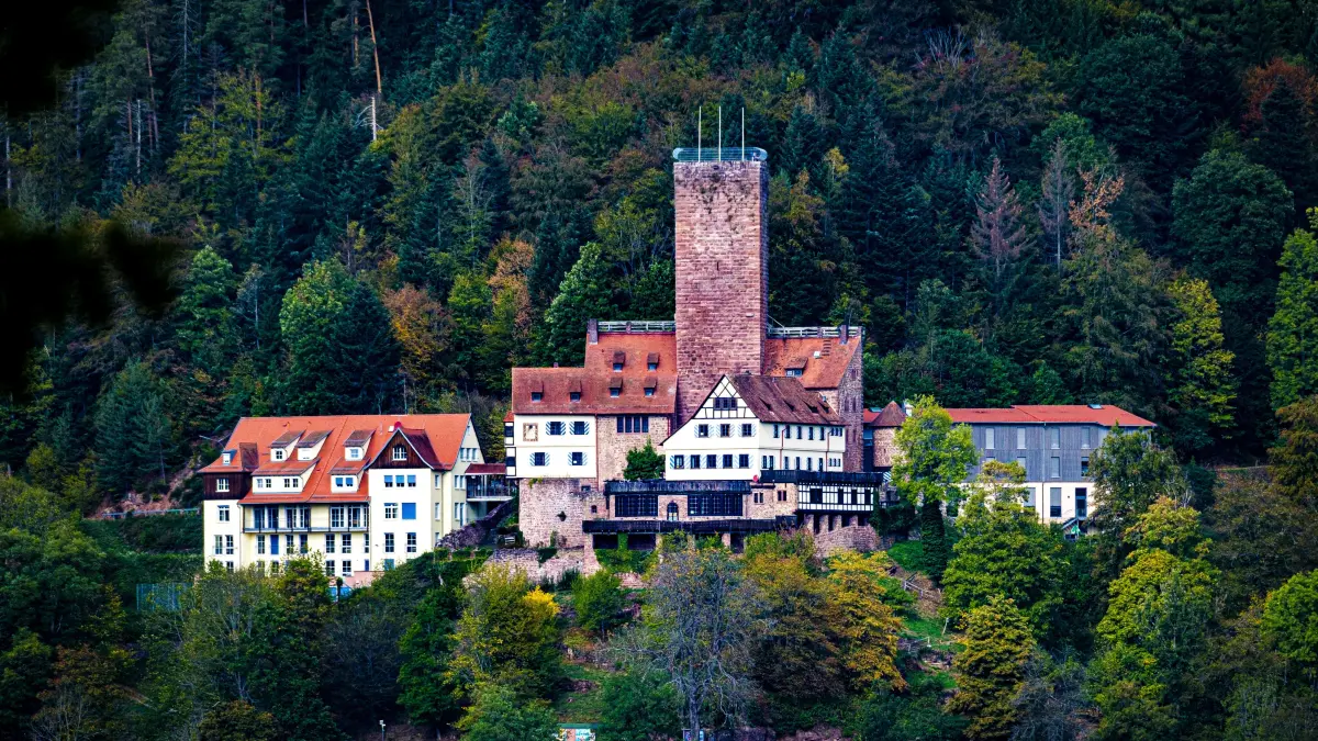 Die Aufzugsanlage des Internationalen Forums in Bad Liebenzell ist defekt.