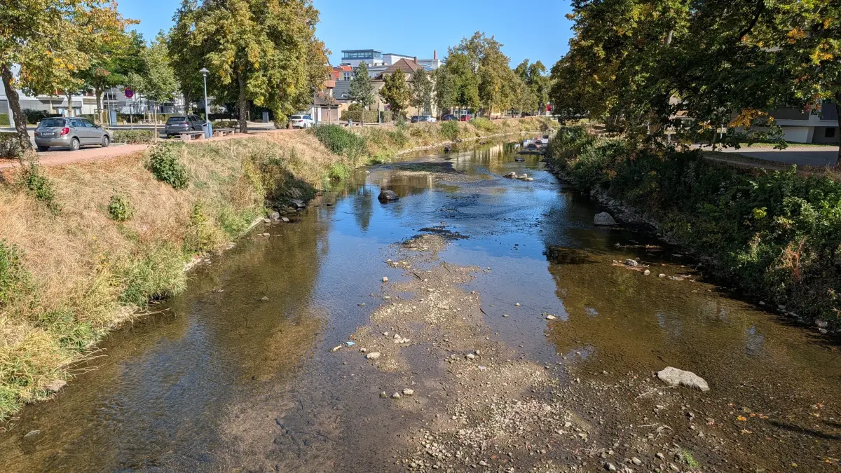 Bis zum Grund: Nach wochenlanger Trockenheit führt die Brigach in Donaueschingen kaum noch Wasser.