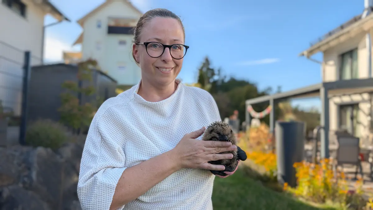 Daniela Sangiorgio päppelt in Hüfingen Igel auf. „Jeder kann einem hilfsbedürftigen Igel helfen, aber niemand muss das alleine können. Wichtig ist, sich Unterstützung zu holen und die Versorgung mit einer erfahrenen Igelstation abzustimmen“, sagt sie.