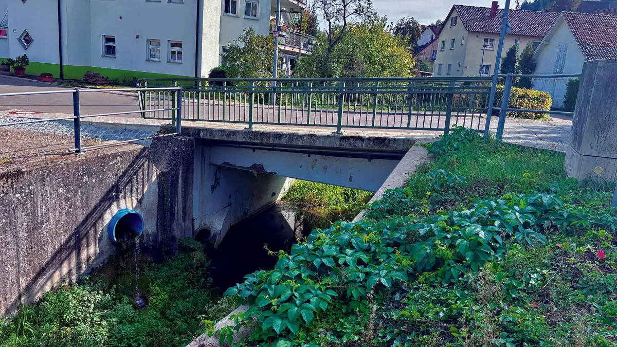 Wettegassebrücke in Sulz am Eck